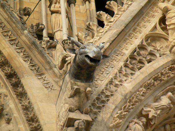  tête d'animal, détail de la façade de la cathédrale